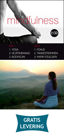Mindfulness (dobbelt CD)