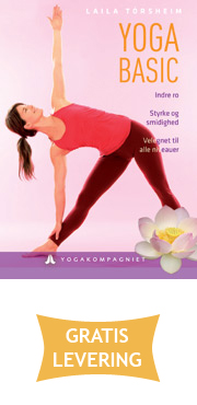 Yoga Basic (DVD)